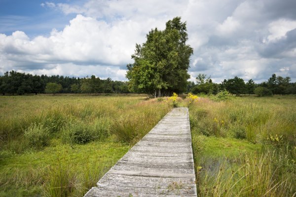 Fotoalbum Omgeving